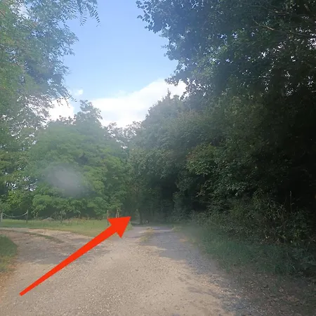 Feriehus Parraghegy Apartman *